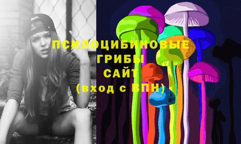 Галлюциногенные грибы Psilocybe  как найти наркотики  Семилуки 